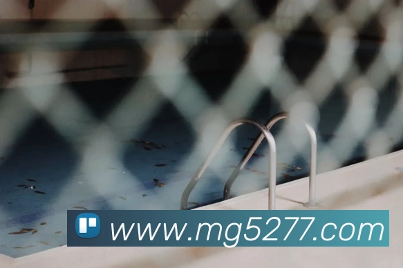 MG娱乐平台官网平台生态图